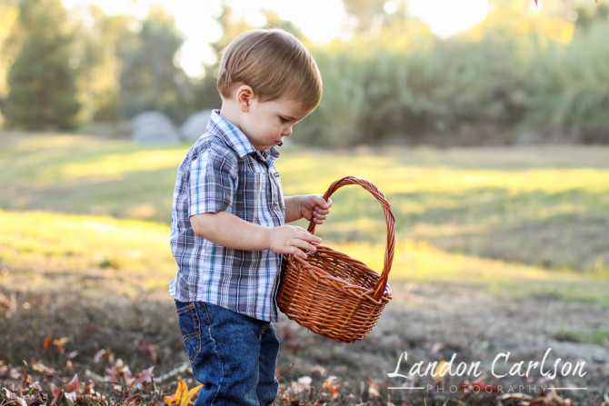 Discovering Baby